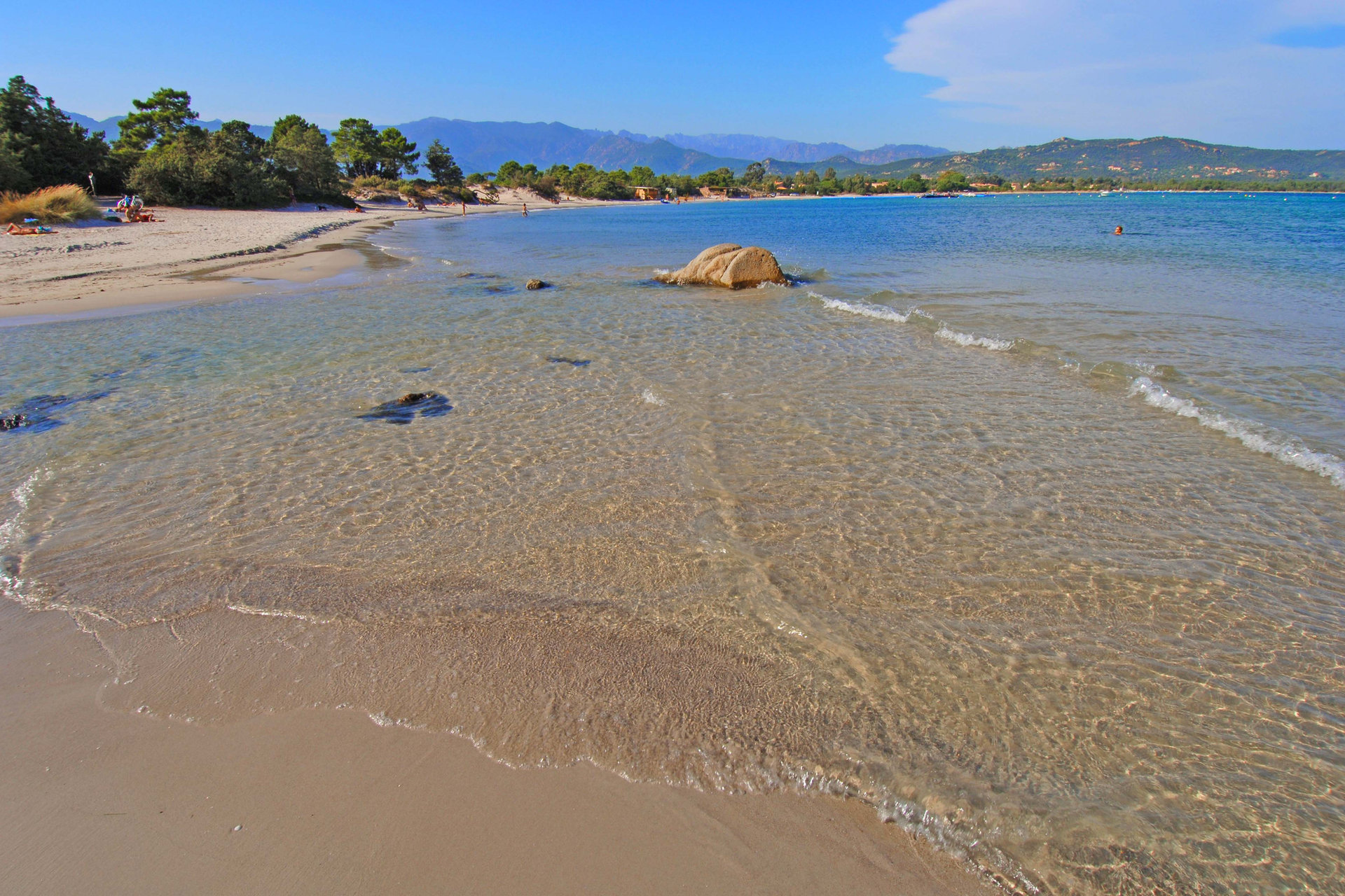 Corse
