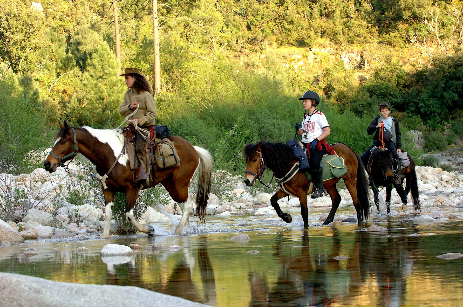 Equitation