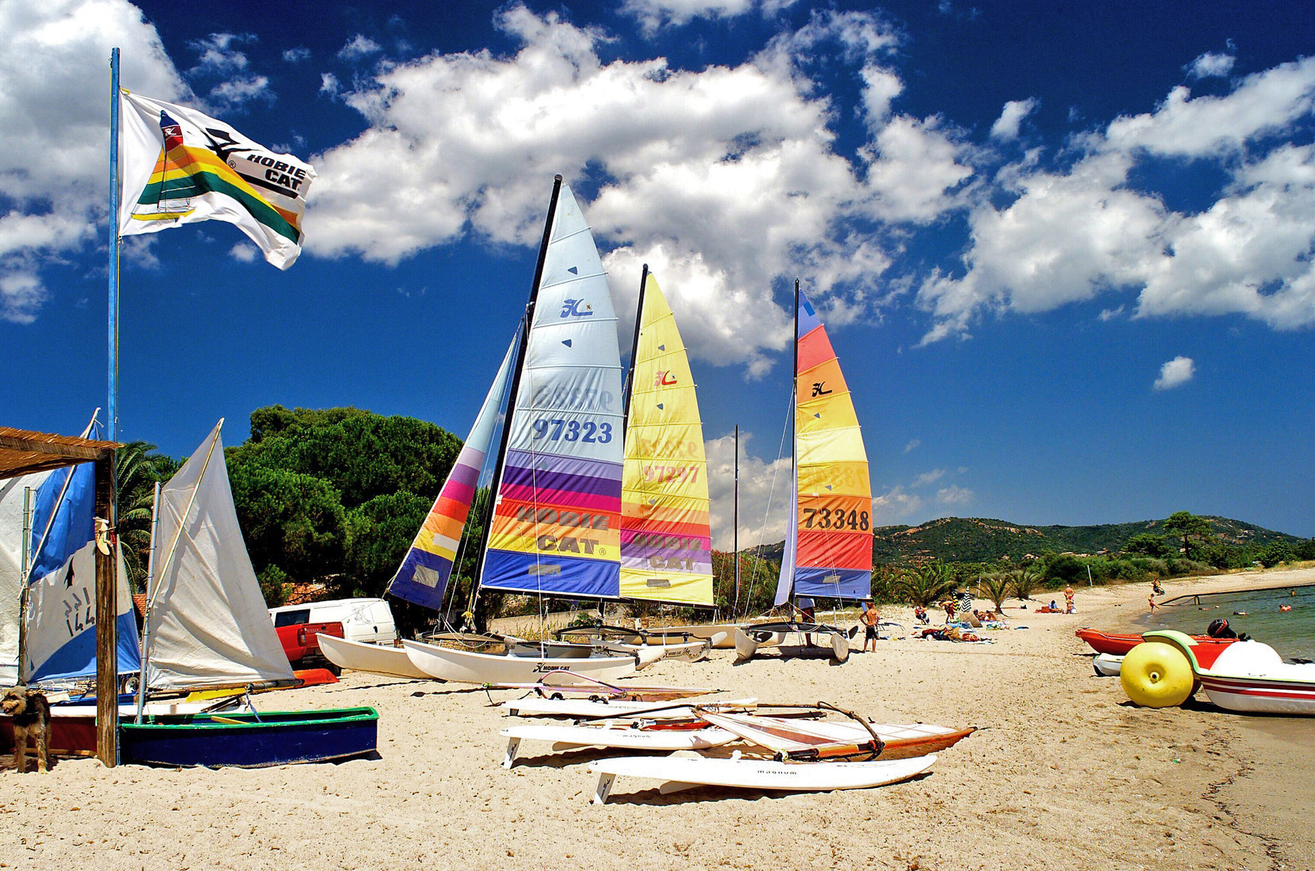 Ecole de voile Lolly Loops